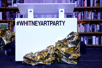 11-14-17 Whitney Art Party 2017